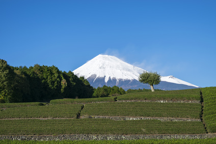 転職エージェント　静岡