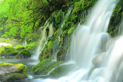 薬剤師　転職　秋田