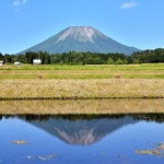 薬剤師　転職　鳥取
