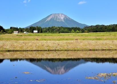 薬剤師　転職　鳥取