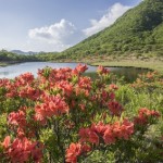薬剤師　転職　群馬
