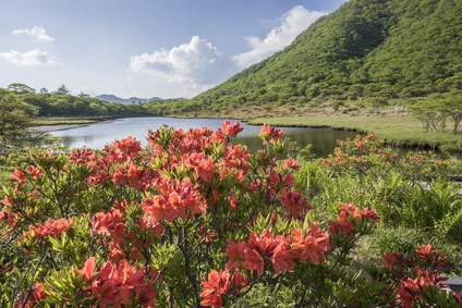 薬剤師　転職　群馬