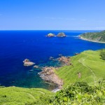 薬剤師　転職　新潟