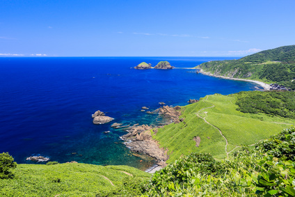 薬剤師　転職　新潟