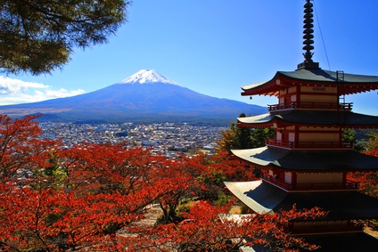 薬剤師　転職　山梨