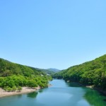 薬剤師　転職　滋賀