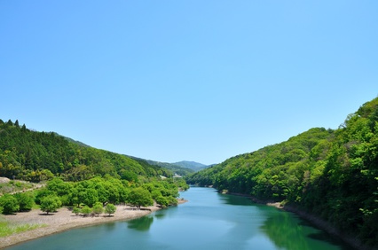 薬剤師　転職　滋賀