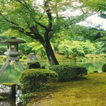 薬剤師　転職　石川