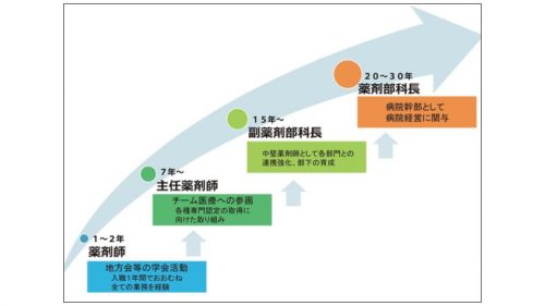 病院薬剤師　役職