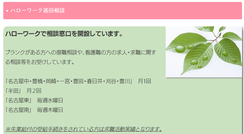 愛知ハローワーク巡回相談